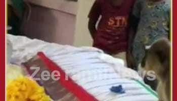Emotional Viral Video: Monkey Comes To Funeral of Human Friend, Video will make you cry
