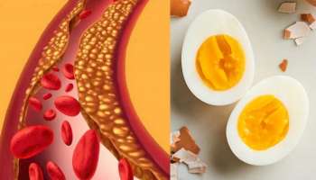 முட்டை சாப்பிட்டால் கொலஸ்ட்ரால் அதிகரிக்குமா... நிபுணர்கள் கூறுவது என்ன..!!
