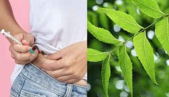 இந்த இலையை சாப்பிட்டால் சர்க்கரை நோயை எளிதில் கட்டுப்படுத்தலாம்