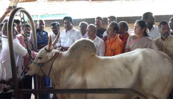 அலங்காநல்லூர் ஜல்லிக்கட்டை உதயநிதி தொடங்கிவைப்பார்... பரிசுகள் அறிவிப்பு