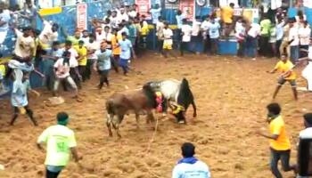 'எடப்பாடியார் vs சின்னவர்' - ஜல்லிக்கட்டு விழாவில் மல்லுக்கட்டிய தொண்டர்கள்   