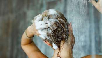 தினமும் தலைக்கு குளித்தால் முடி உதிர்வு ஏற்படுமா? உண்மை என்ன?