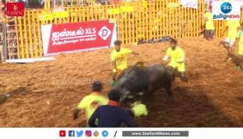 பாலமேடு: களத்தில் சீறிப்பாயும் காளைகளை அடக்கும் மாடுபிடி வீரர்கள்!