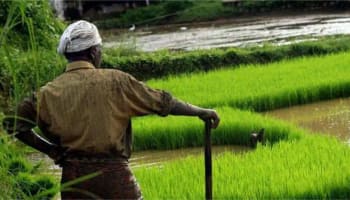 உயிரே போனாலும் விதைநெல்லை உணவாக்கி உண்ணமாட்டார்கள், உழவர்கள்!