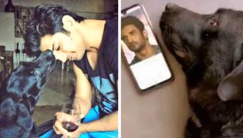 &#039;சொர்க்கத்தில் இணைந்த நண்பர்கள்&#039; உயிரிழந்த செல்ல நாய்... சுஷாந்த் சிங் தங்கை உருக்கமான பதிவு