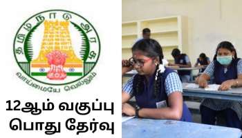 12th Board Exams: தமிழ்நாட்டில் 12ஆம் வகுப்பு பொது தேர்வு! முதல் நாளான்று மொழித்தேர்வு