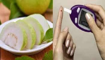 சுகர் லெவலை சுலபமா கட்டுப்படுத்தணுமா? கொய்யா இலையை இப்படி பயன்படுத்தி பாருங்க