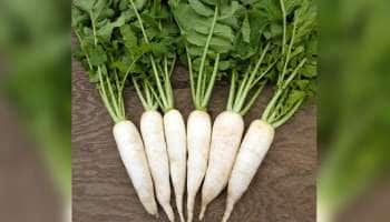 முள்ளங்கி இலையில் இருக்கு எக்கச்சக்க நன்மைகள்: பட்டியல் இதோ