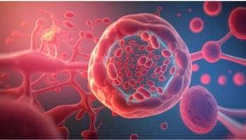 எச்சரிக்கை! அளவிற்கு அதிகமான இரும்பு சத்து இதயம் - கல்லீரலை பாதிக்கும்!