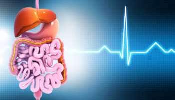 Home Remedies: குடல் பிரச்சனை இருந்தால் இதை மட்டும் சாப்பிடுங்கள் - உடனடி நிவாரணம்: எளிய வீட்டு மருத்துவம்