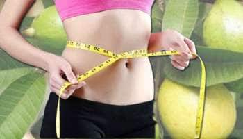 அடி வயிற்று தொப்பை குறையனுமா? இந்த பழத்தின் இலை இருந்தால் போதும்