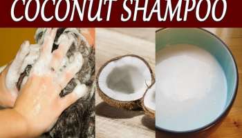 பளபளக்கும் அடர்த்தியான தலைமுடி வேண்டுமா? தேங்காய்ப்பால் ஷாம்புவை பயன்படுத்தலாமே?