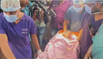 திருப்பதியில் பாதயாத்திரை சென்ற சிறுவனை இழுத்துச்சென்ற சிறுத்தை: பகீர் சம்பவம்