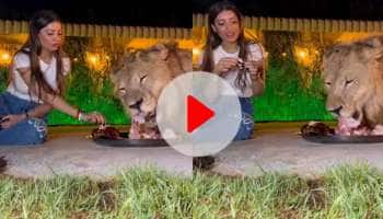 சிங்கத்துடன் ஒரே தட்டில் சாப்பாடு: பெண்ணை விளாசும் நெட்டிசன்ஸ், ஷாக்கிங் வைரல் வீடியோ