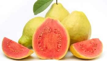 சிவப்பு கொய்யாப்பழத்தை இப்படி சாப்பிட்டா, 6 நோய்களுக்கு ஜூட் விடலாம்