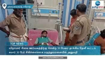 விநாயகர் சிலை கரைப்பின்போது தேனீக்கள் கொட்டியதால் பரபரப்பு