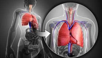 Lungs Detox: நுரையீரலை சுத்தம் செய்ய கடைபிடிக்க வேண்டியவை!