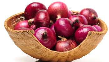 மூல நோய் முதல் மூட்டு வலி வரை... அருமருந்தாகும் வெங்காயம்..!!