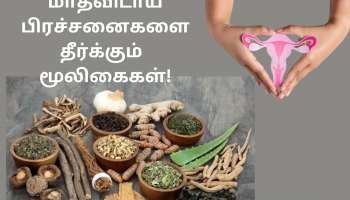 PCOS: மாதவிடாய் பிரச்சனைகளை தீர்க்கும் 5 ‘அற்புத’ மூலிகைகள்!