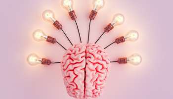 Brain Health: ஆற்றல் மிக்க மூளைக்கு... ‘இந்த’ சத்துக்கள் ரொம்ப அவசியம்!
