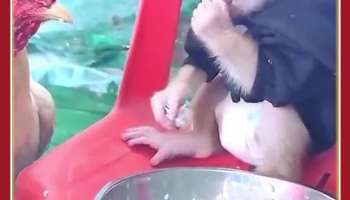 "சோறு முக்கியம்" கோழிக்கு குரங்கின் அட்வைஸ், வைரல் வீடியோ
