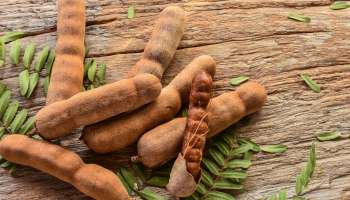 எலும்பு தேய்மானம் முதல் இதய ஆரோக்கியம் வரை... புளியில் புதைந்துள்ள புதையல்...!