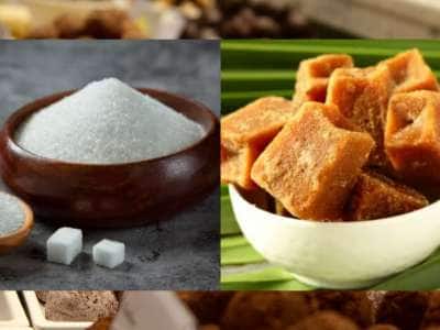 வெள்ளைச் சர்க்கரை, நாட்டுச் சர்க்கரை, கருப்பட்டி! சிறந்த இனிப்பு போட்டியில் பரிசு எதற்கு?