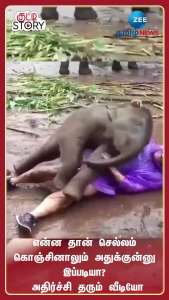அன்புக்கு எல்லை இல்லாம இருக்கலாம்! ஆனா வெயிட் அதிகமா இருக்கே?