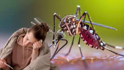 டெங்கு காய்ச்சல்: அறிகுறிகள், எளிமையான வீட்டு வைத்தியங்கள் இதோ