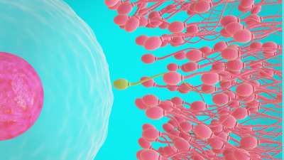 Men's Health: விந்தணு பிரச்சனைகளுக்கு தீர்வைத் தரும்... சூப்பர் விதைகள்