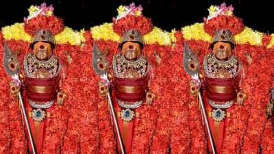 நினைத்ததை நிறைவேற்றும் முருகன்! கந்தனை சரணடைந்தால் போராட்ட வாழ்க்கையும் பொற்காலம் ஆகும்!