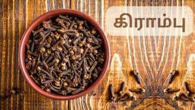 Clove Benefits: மன அழுத்தம் முதல் வெயிட் லாஸ் வரை... கிராம்பு என்னும் சிறந்த ஆயுர்வேத மருந்து