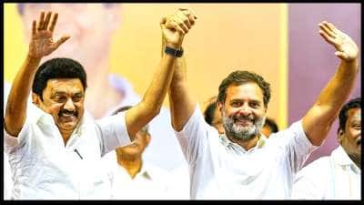 Election Result 2024: இந்தியா கூட்டணி ஓங்கும் 'கை' பட்டாசு, இனிப்பு என கொண்டாடும் காங்கிரஸ்! 