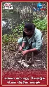 பாம்பை காப்பாற்ற போராடும் பெண் வீடியோ வைரல்