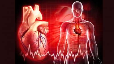 மாரடைப்பை ஏற்படுத்தும்.... LDL கொலஸ்டிராலை எரிக்கும் ஆற்றல் கொண்ட சில சூப்பர் பவர் இலைகள்