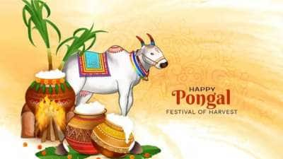 Pongal 2025: காலங்களை கடந்த கலாச்சாரம்.... மகிழ்ச்சி, செழுமையை பொங்கச்செய்யும் பொங்கல் திருவிழா!