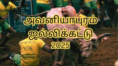 அவனியாபுரம் ஜல்லிக்கட்டு 2025: முதல் முறையாக 900 வீரர்கள்... பரிசுகள் என்னென்ன? - A to Z இதோ!