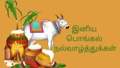 Pongal 2025: தைப்பொங்கல் திருநாள்.. மகிழ்ச்சியும் செழுமையும் பொங்கும் பெருநாள்