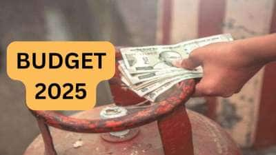 Budget 2025: எல்பிஜி சிலிண்டர் விலை குறைய அதிக வாய்ப்பு, சாமானியர்களுக்கு குட் நியூஸ்!