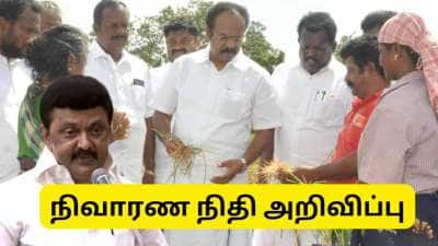 விவசாயிகளுக்கு குட் நியூஸ்..! பெஞ்சல் புயல் நிவாரண நிதியை அறிவித்த தமிழ்நாடு அரசு