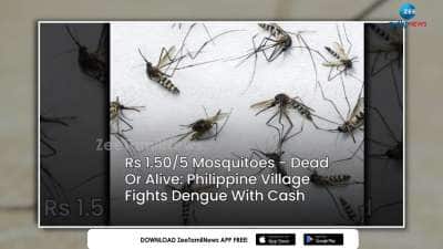 Unique Solution for Dengue: Philippines Officers offer Cash Prizes For Catching mosquitoes