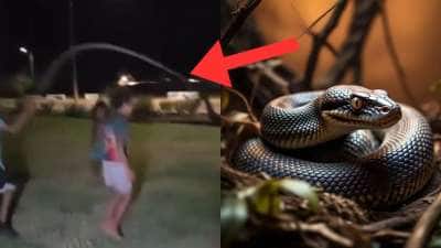 பயங்கர பாம்பை வைத்து ஸ்கிப்பிங் விளையாடிய குழந்தைகள்! வைரலாகும் வீடியோ..