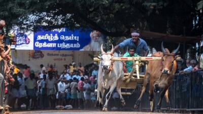 ஈஷாவின் தமிழ்த் தெம்பு திருவிழா: அனல் பறந்த &#039;ரேக்ளா பந்தயம்&#039; - ஏகோபித்த வரவேற்பை கொடுத்த மக்கள்!