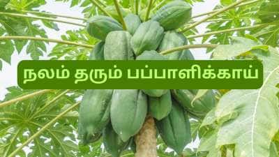 வெயிட் லாஸ் முதல் சுகர் லெவல் வரை... ஆச்சரியங்களை தரும் பப்பாளிக்காய்... வாரம் 2 முறையாவது சாப்பிடுங்க