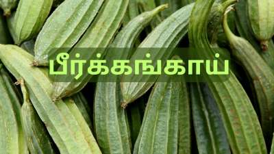 வெயிட் லாஸ் முதல் சுகர் லெவல் வரை... பீர்க்கங்காயை அலட்சியமாக நினைக்காதீங்க
