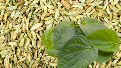 வெற்றிலையுடன் சோம்பை சேர்த்து சாப்பிட்டால் இத்தனை நன்மைகளா!!