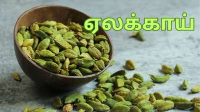 கொலஸ்ட்ரால் முதல் வெயிட் லாஸ் வரை... தினம் 2 ஏலக்காய் செய்யும் மாயங்கள் பல