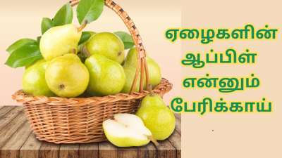 ஏழைகளின் ஆப்பிள் என்னும் பேரிக்காய்... குறைத்து மதிப்பிடாதீங்க