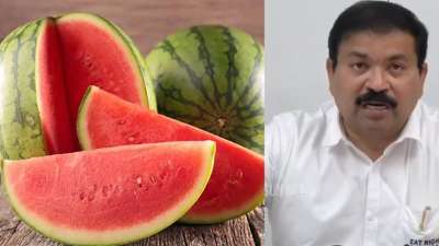 தர்பூசணியை நம்பி சாப்பிடலாமா...? உணவு பாதுகாப்பு அதிகாரியே சொன்ன முக்கிய தகவல்!