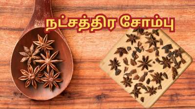 வியக்க வைக்கும் நட்சத்திர சோம்பு... ஆயுர்வேத மருத்துவர் கூறும் ஆச்சர்ய தகவல்கள்